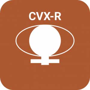 codelco codelco gps