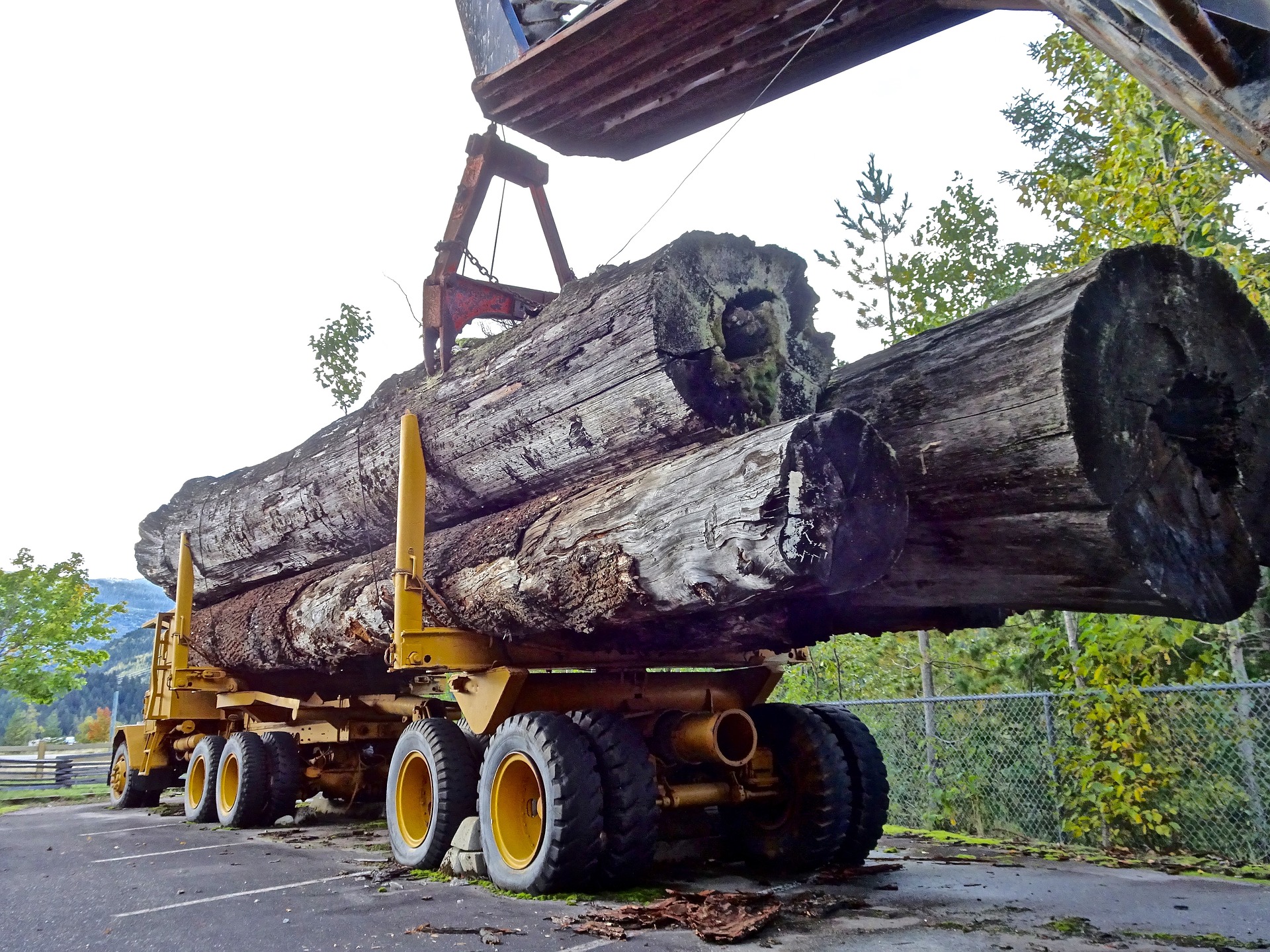 industria-forestal-centralgps auto para mineria