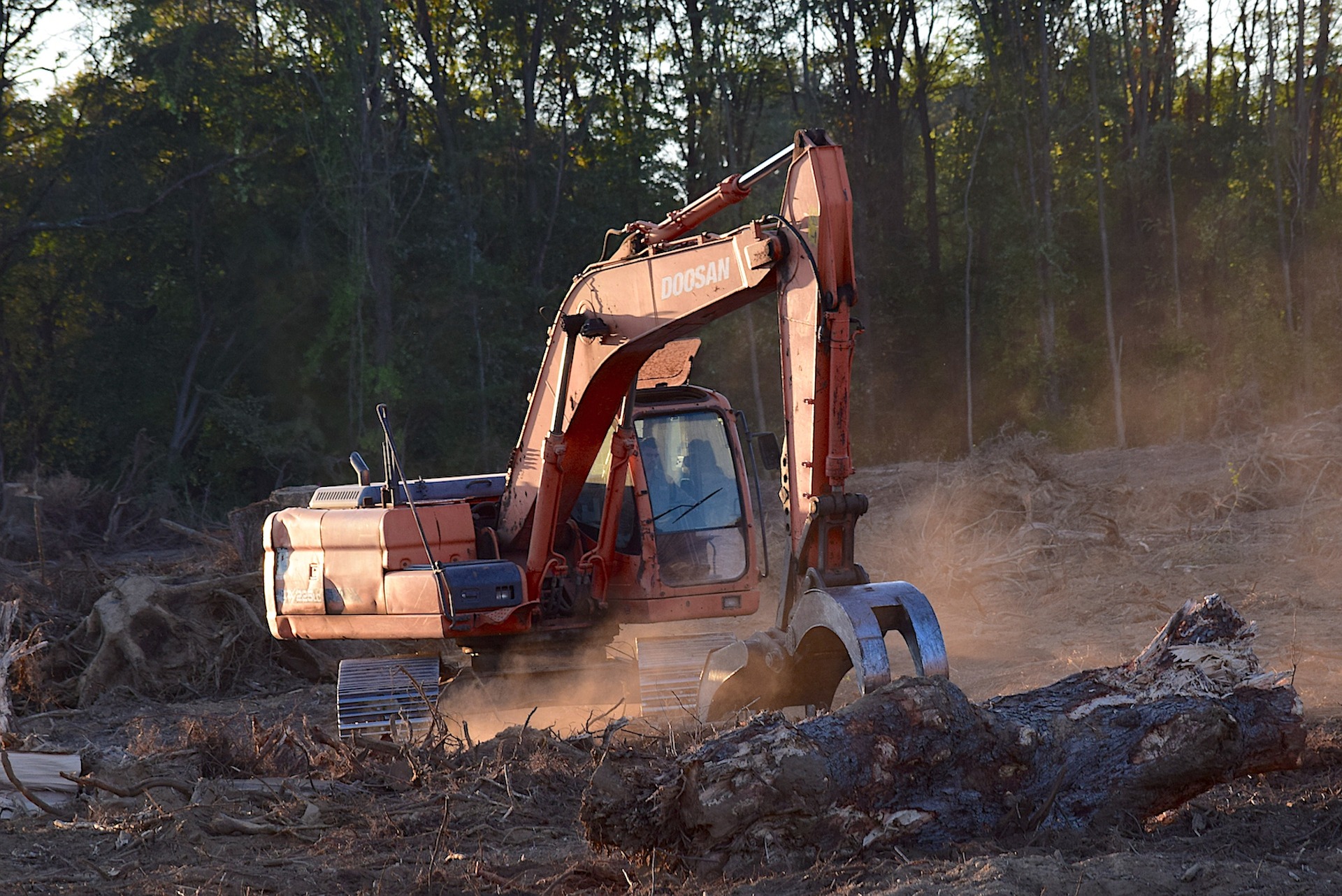forestal-2