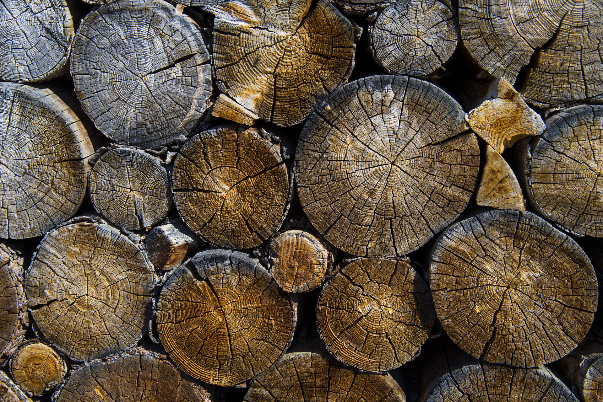 forestal